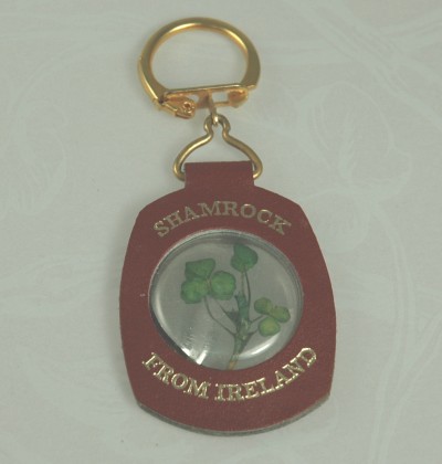 Cute Key Chain from Ireland with Genuine Shamrock