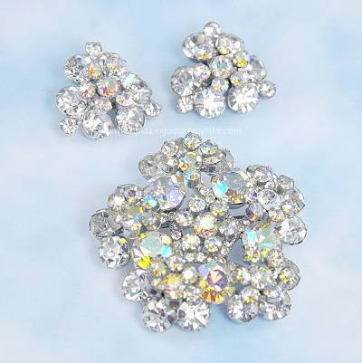Outstanding DELIZZA and ELSTER Clear Rhinestone Flower Spray Set~ BOOK PIECE